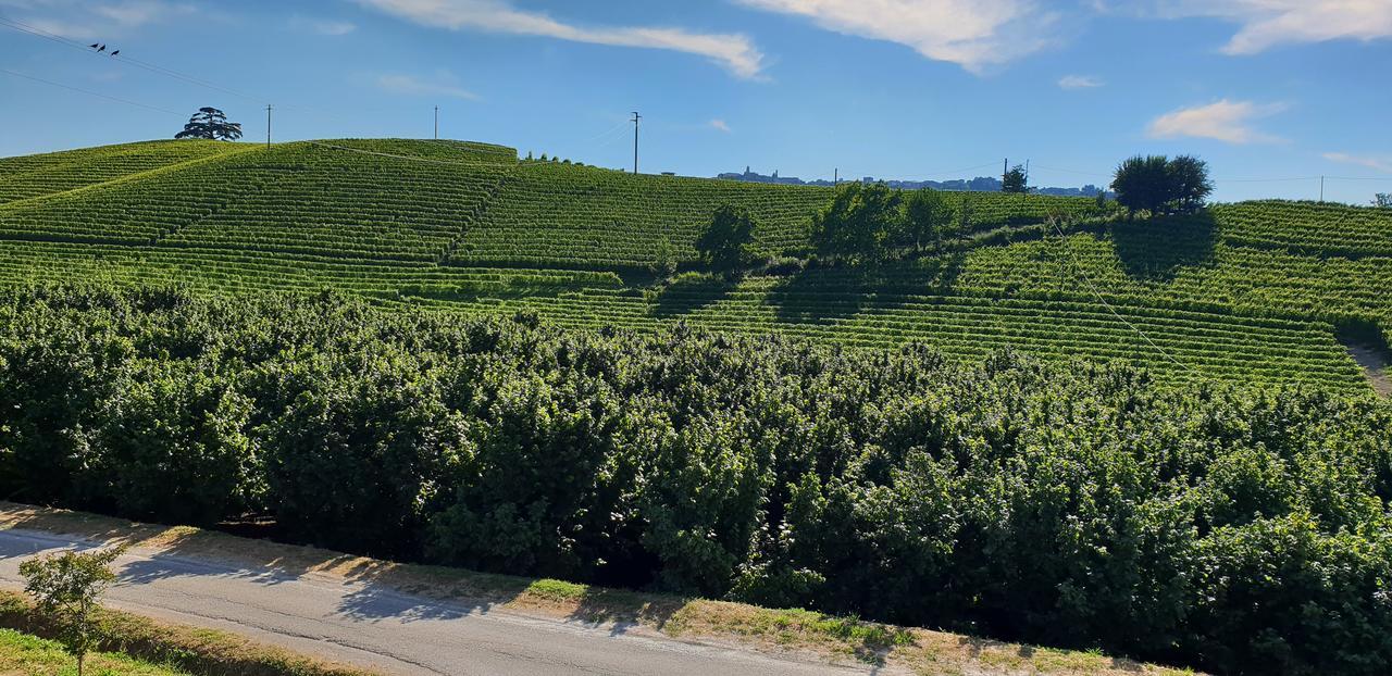 Cascina Goretta Agriturismo La Morra Eksteriør billede